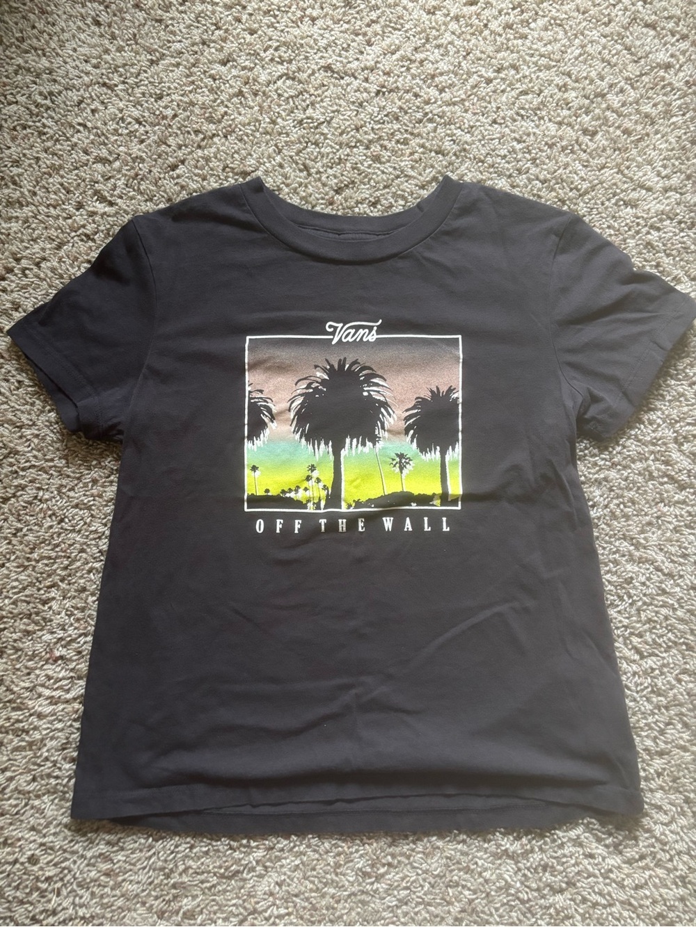 Vans Black T-Shirt with Sunset Palm Graphic